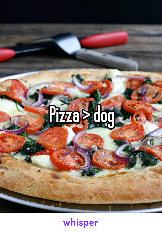 Pizza > dog