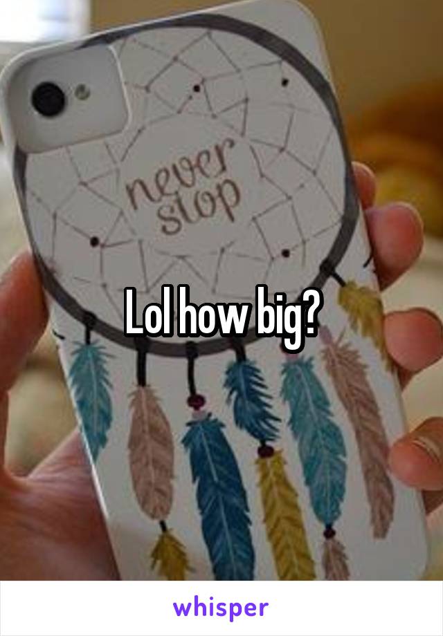 Lol how big?