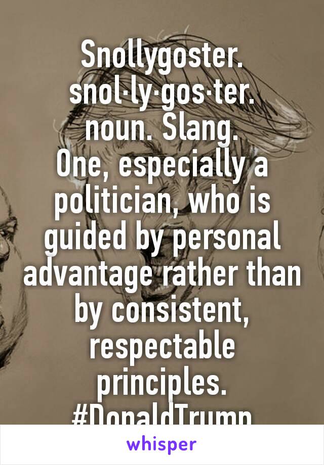 Snollygoster.
snol·ly·gos·ter.
noun. Slang.
One, especially a politician, who is guided by personal advantage rather than by consistent, respectable principles.
#DonaldTrump