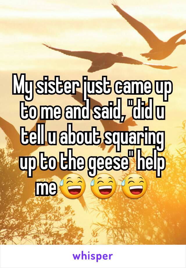 My sister just came up to me and said, "did u tell u about squaring up to the geese" help me😅😅😅