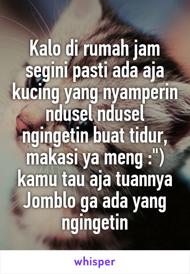 Kalo di rumah jam segini pasti ada aja kucing yang nyamperin ndusel ndusel ngingetin buat tidur, makasi ya meng :") kamu tau aja tuannya Jomblo ga ada yang ngingetin