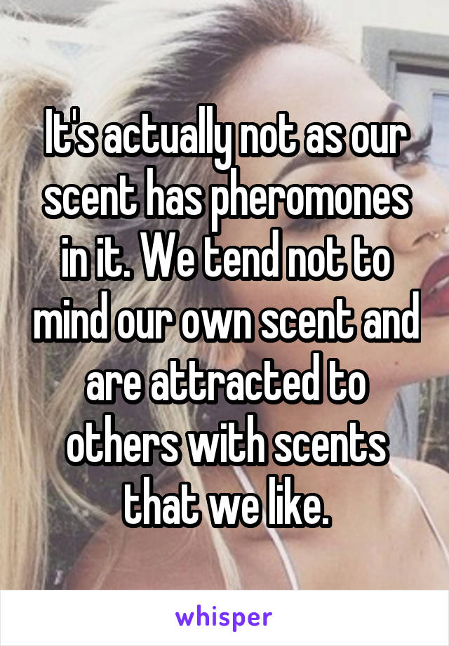 It's actually not as our scent has pheromones in it. We tend not to mind our own scent and are attracted to others with scents that we like.