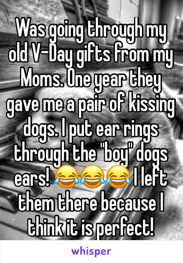 Was going through my old V-Day gifts from my Moms. One year they gave me a pair of kissing dogs. I put ear rings through the "boy" dogs ears! 😂😂😂 I left them there because I think it is perfect! 