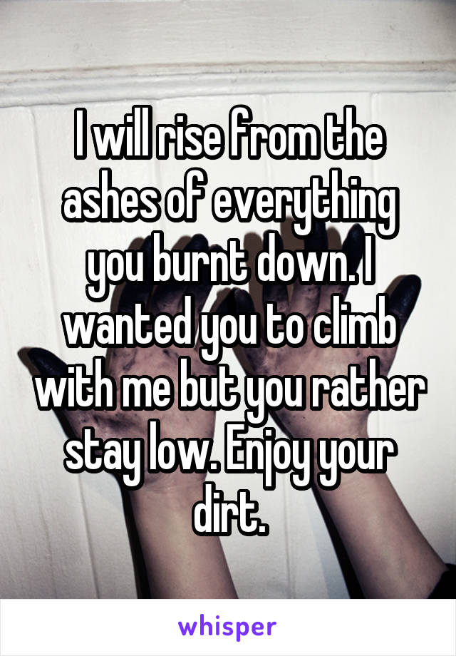 I will rise from the ashes of everything you burnt down. I wanted you to climb with me but you rather stay low. Enjoy your dirt.