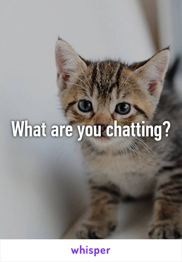 What are you chatting?