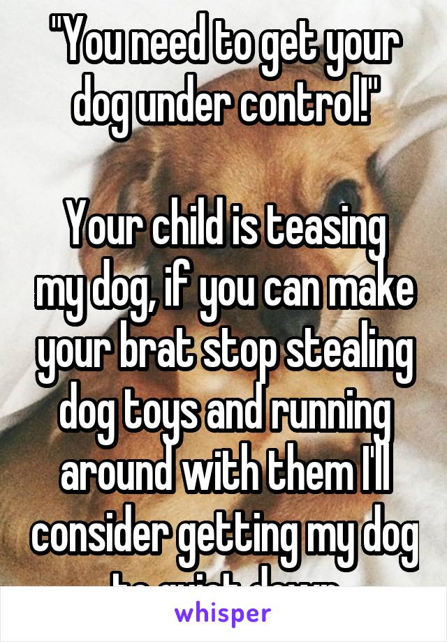 "You need to get your dog under control!"

Your child is teasing my dog, if you can make your brat stop stealing dog toys and running around with them I'll consider getting my dog to quiet down