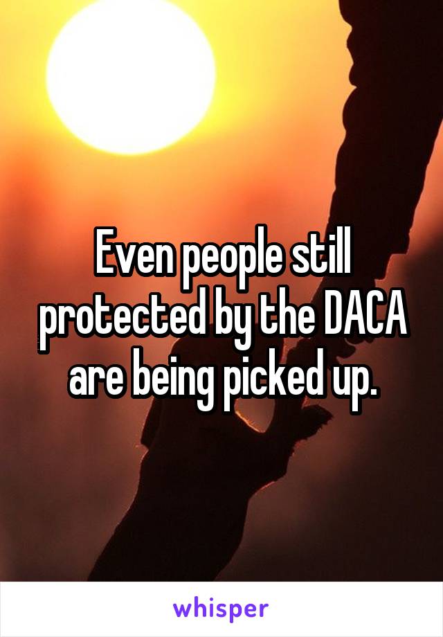 Even people still protected by the DACA are being picked up.