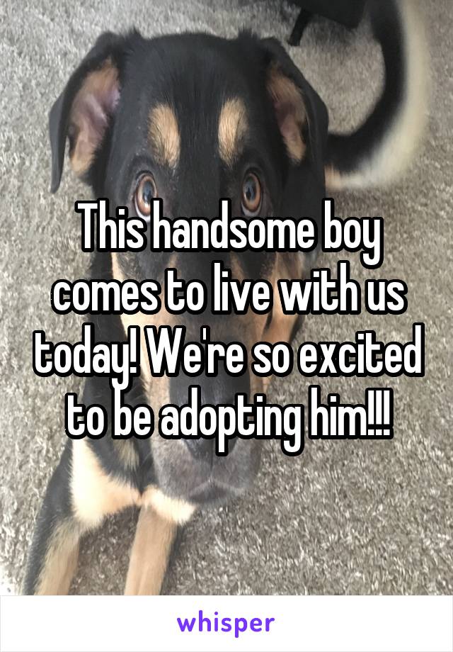 This handsome boy comes to live with us today! We're so excited to be adopting him!!!