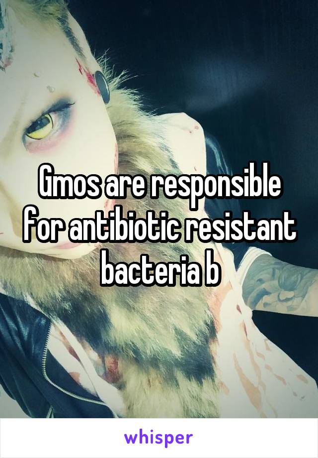 Gmos are responsible for antibiotic resistant bacteria b