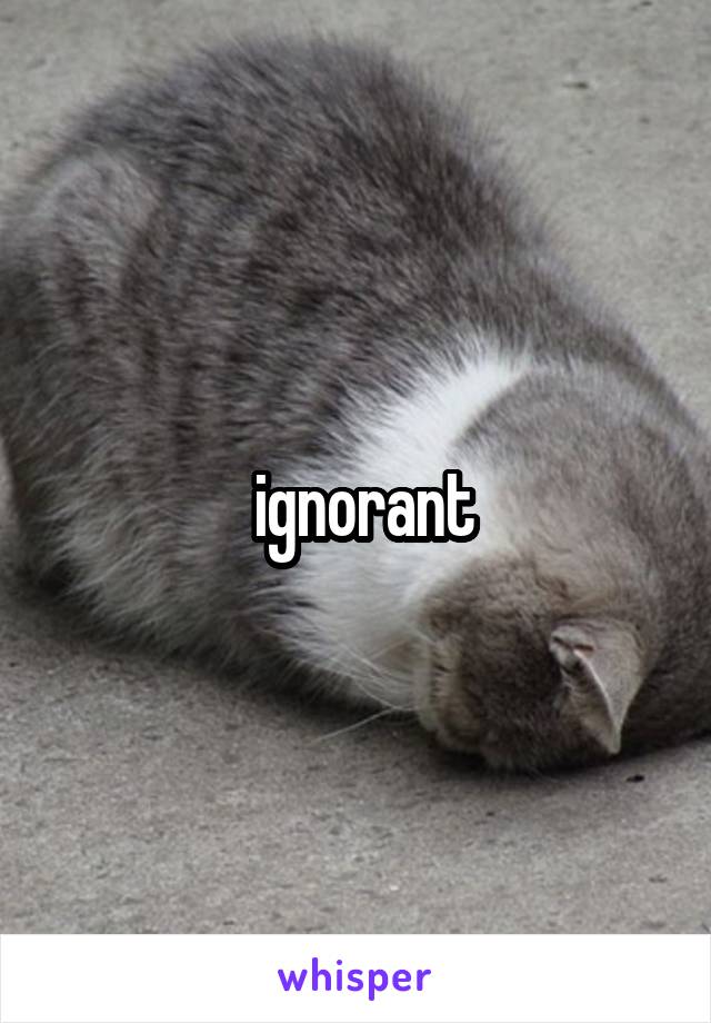  ignorant