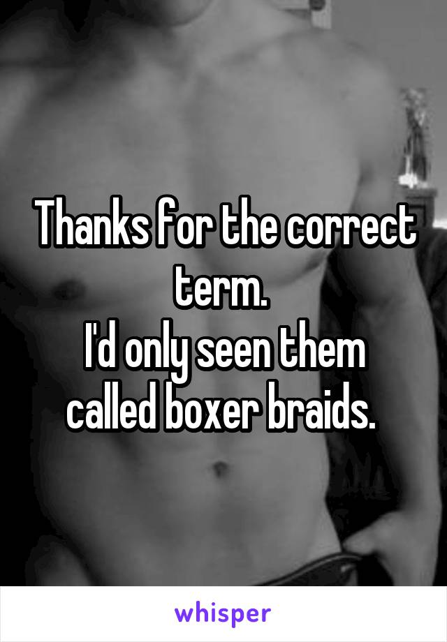 Thanks for the correct term. 
I'd only seen them called boxer braids. 