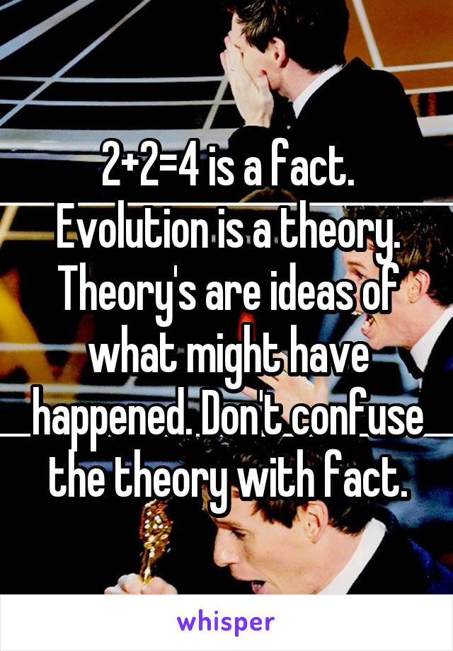 2+2=4 is a fact. Evolution is a theory. Theory's are ideas of what might have happened. Don't confuse the theory with fact.