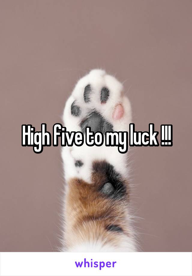 High five to my luck !!!