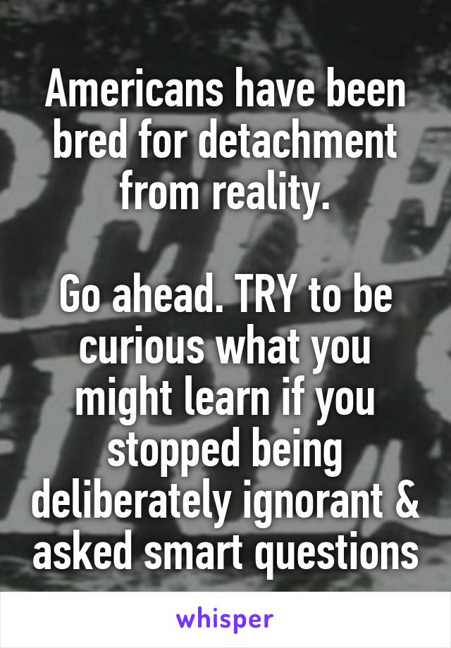 Americans have been bred for detachment from reality.

Go ahead. TRY to be curious what you might learn if you stopped being deliberately ignorant & asked smart questions