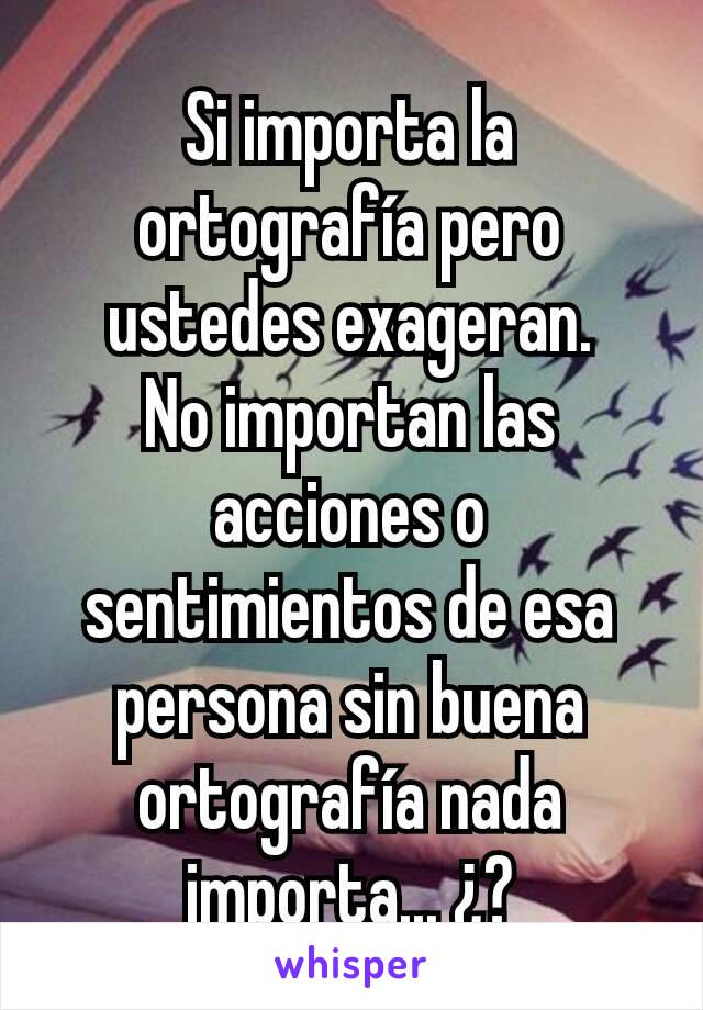 Si importa la ortografía pero ustedes exageran.
No importan las acciones o sentimientos de esa persona sin buena ortografía nada importa... ¿?