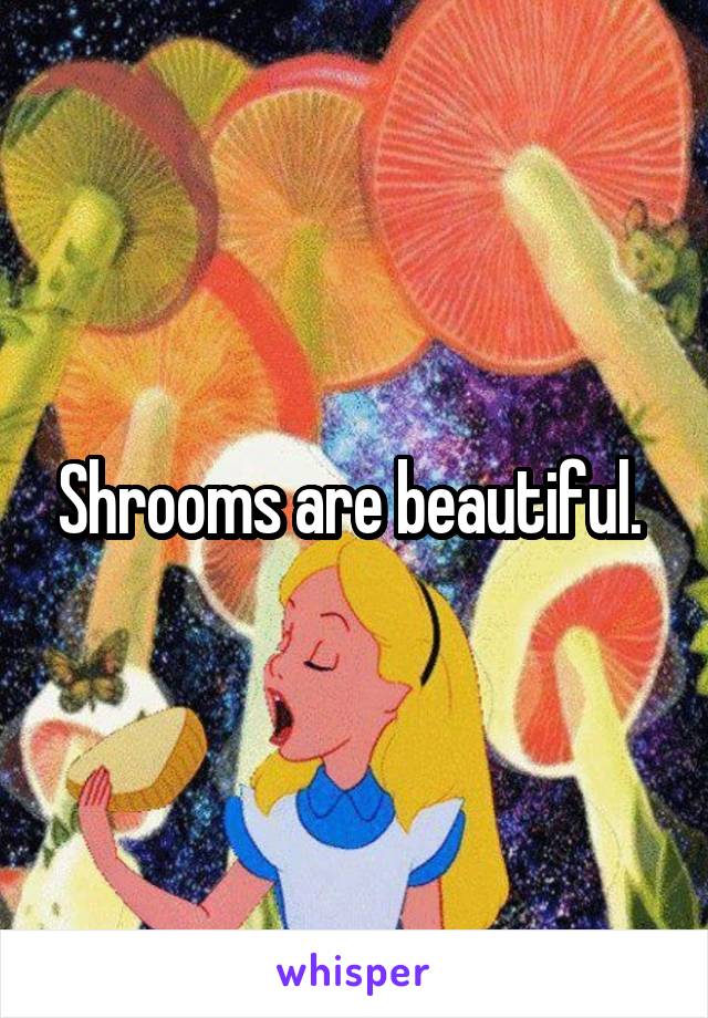 Shrooms are beautiful. 