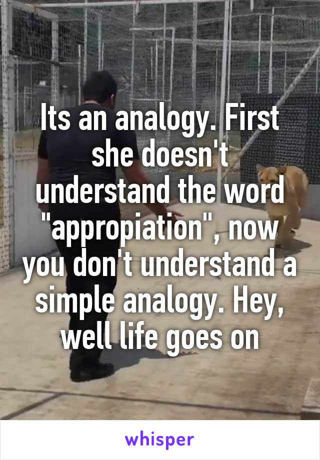 Its an analogy. First she doesn't understand the word "appropiation", now you don't understand a simple analogy. Hey, well life goes on