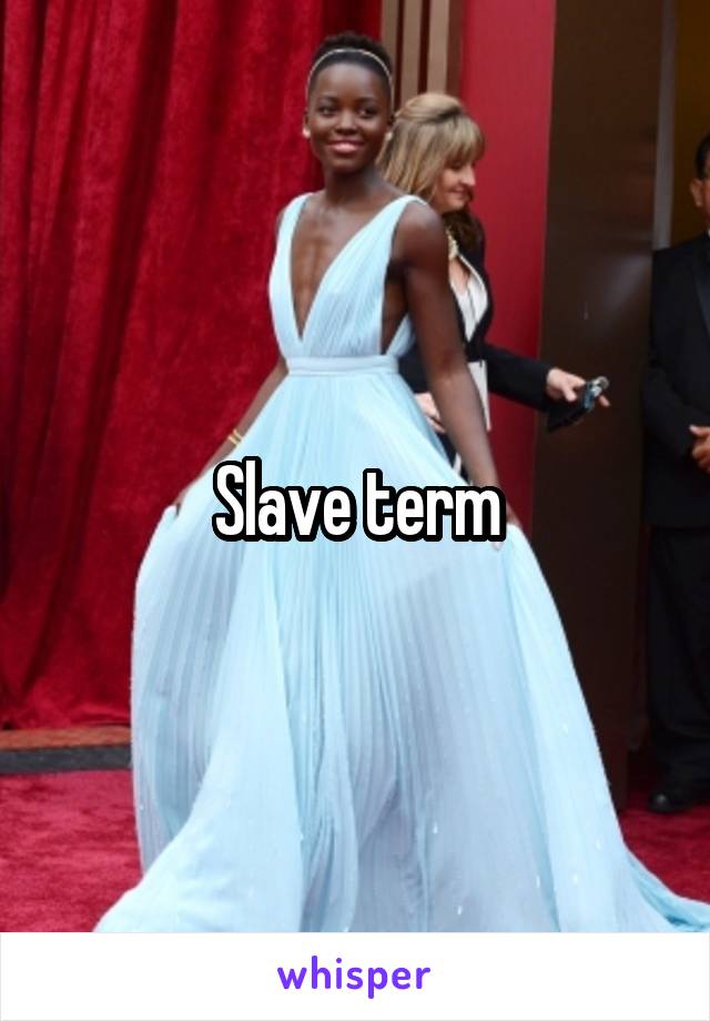 Slave term