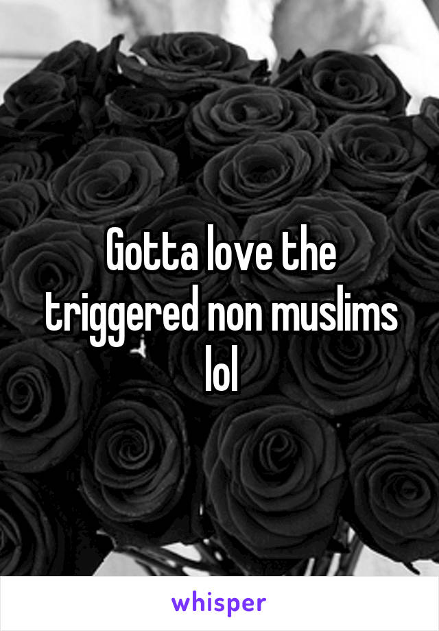 Gotta love the triggered non muslims lol