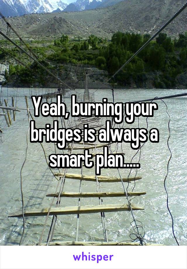 Yeah, burning your bridges is always a smart plan.....