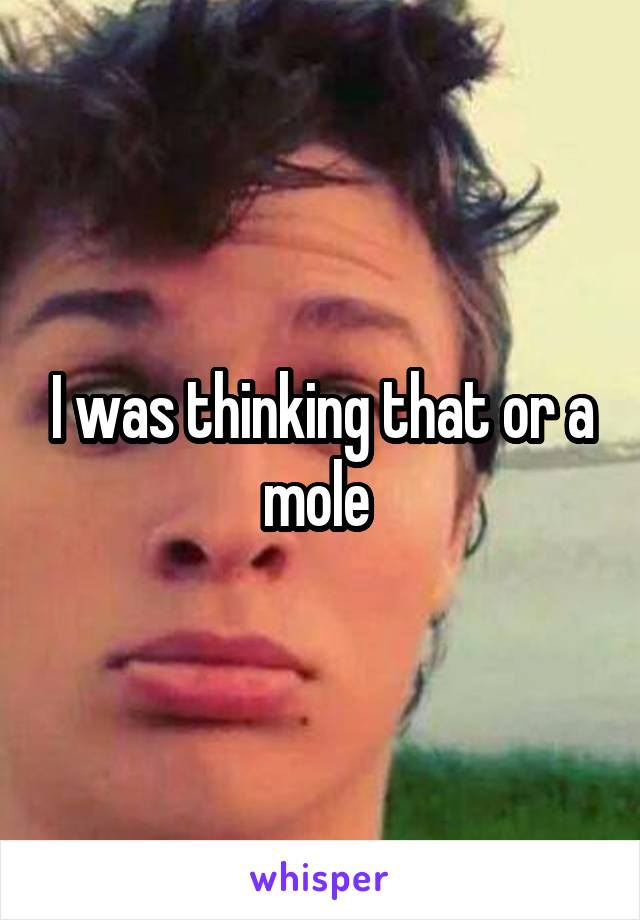 I was thinking that or a mole 