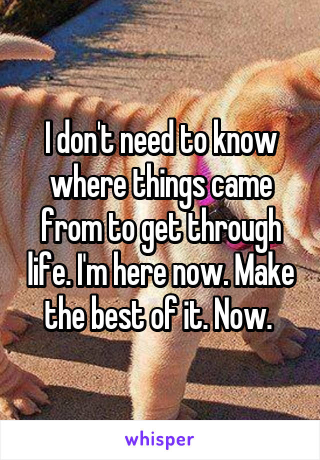 I don't need to know where things came from to get through life. I'm here now. Make the best of it. Now. 