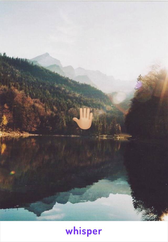 🤚🏼