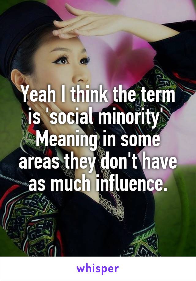 Yeah I think the term is 'social minority' 
Meaning in some areas they don't have as much influence.