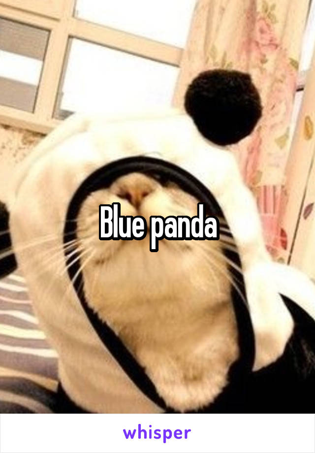 Blue panda