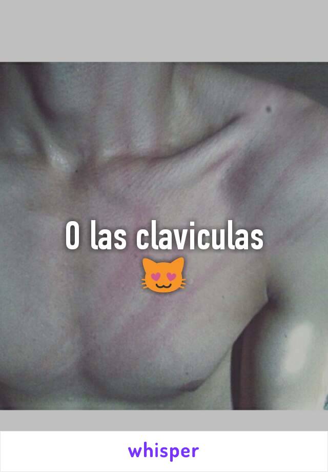 
O las claviculas
😻