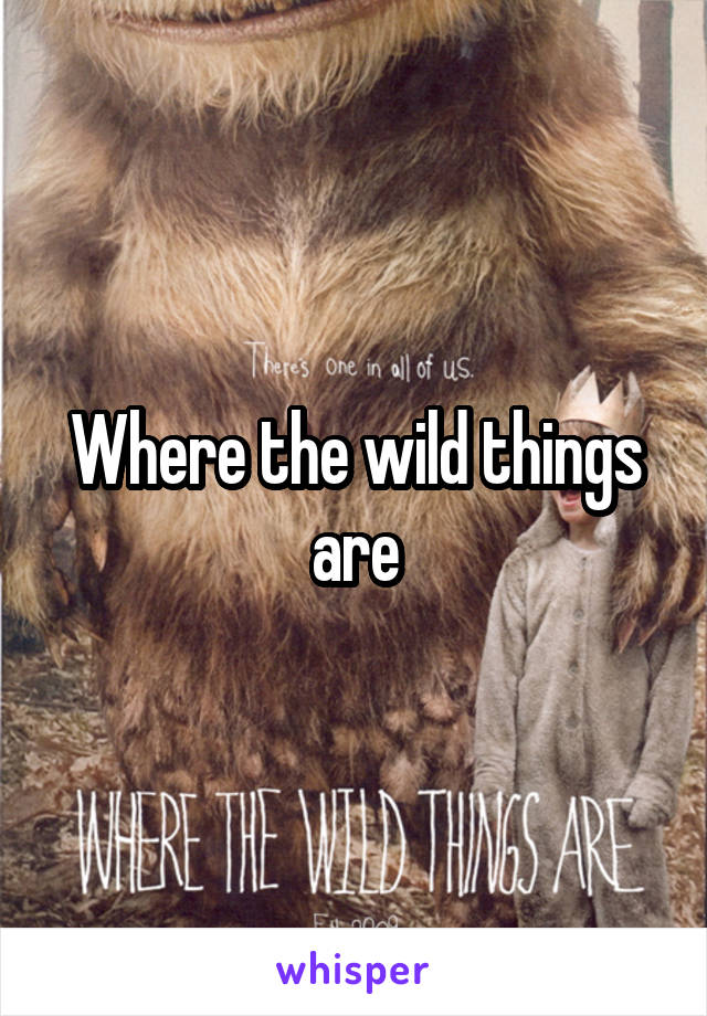 Where the wild things are