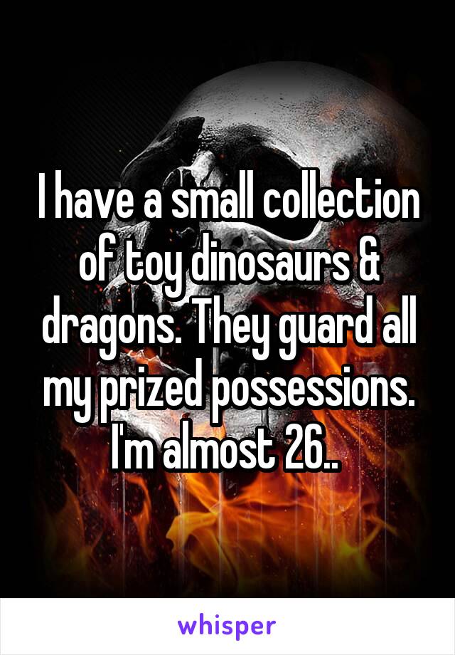 I have a small collection of toy dinosaurs & dragons. They guard all my prized possessions. I'm almost 26.. 