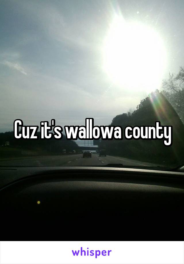 Cuz it's wallowa county