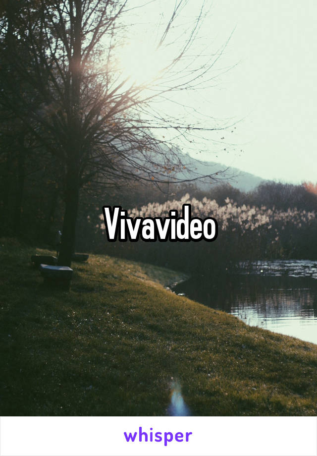 Vivavideo