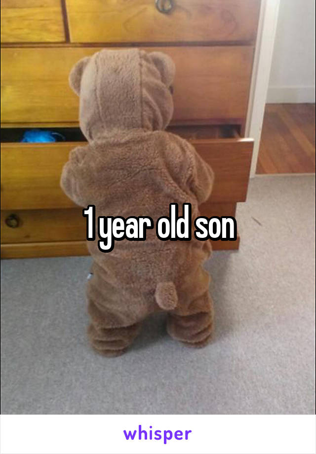 1 year old son