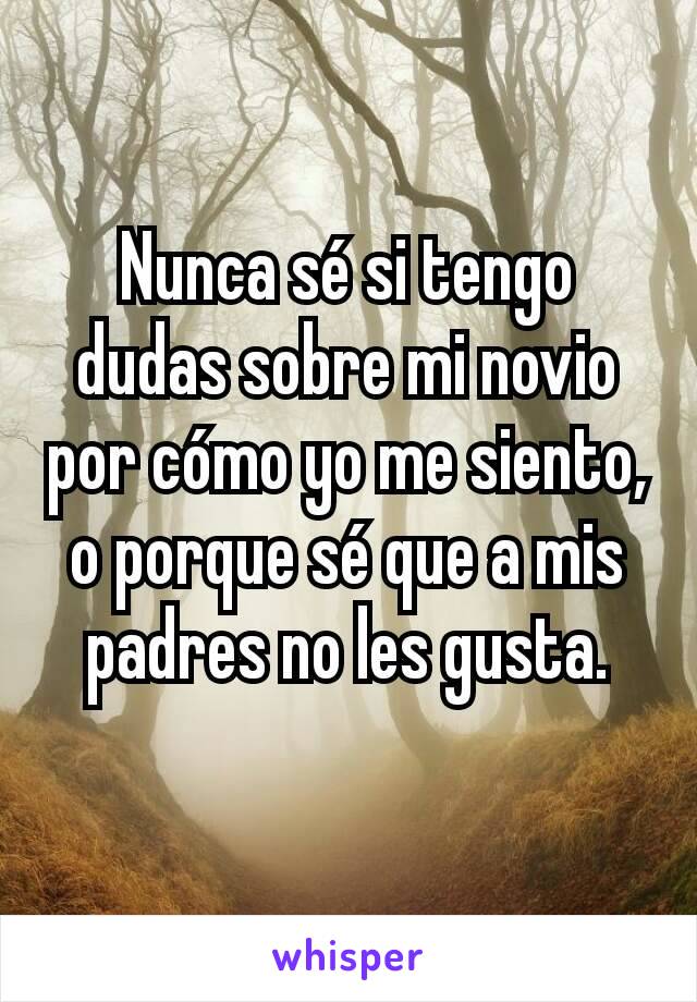 Nunca sé si tengo dudas sobre mi novio por cómo yo me siento, o porque sé que a mis padres no les gusta.