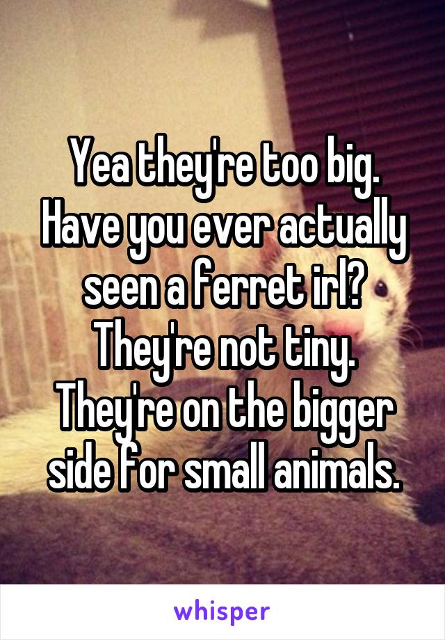 Yea they're too big. Have you ever actually seen a ferret irl? They're not tiny. They're on the bigger side for small animals.