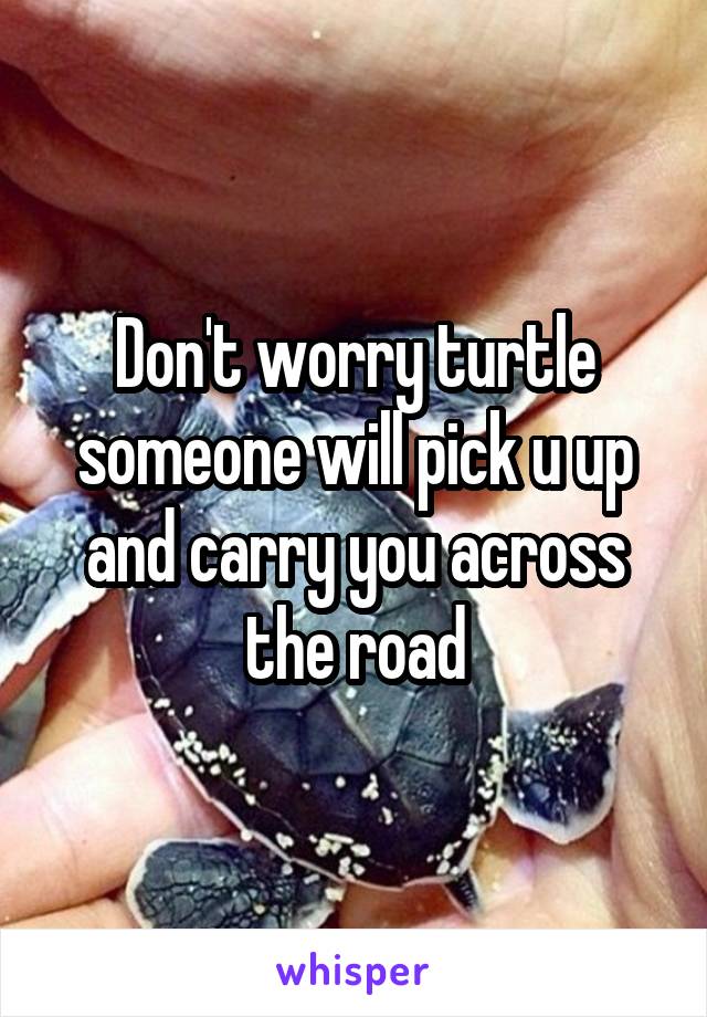 Don't worry turtle someone will pick u up and carry you across the road