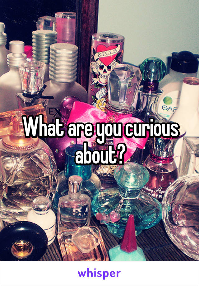 What are you curious about?