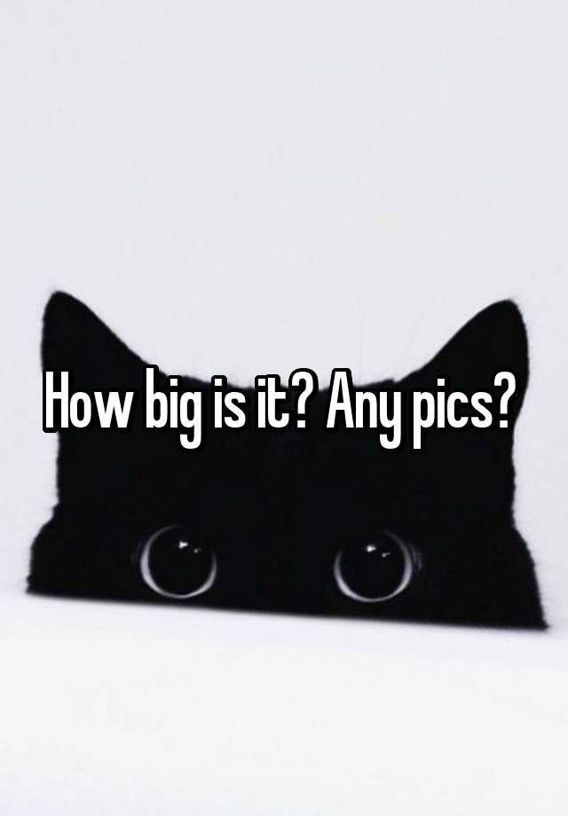 how-big-is-it-any-pics