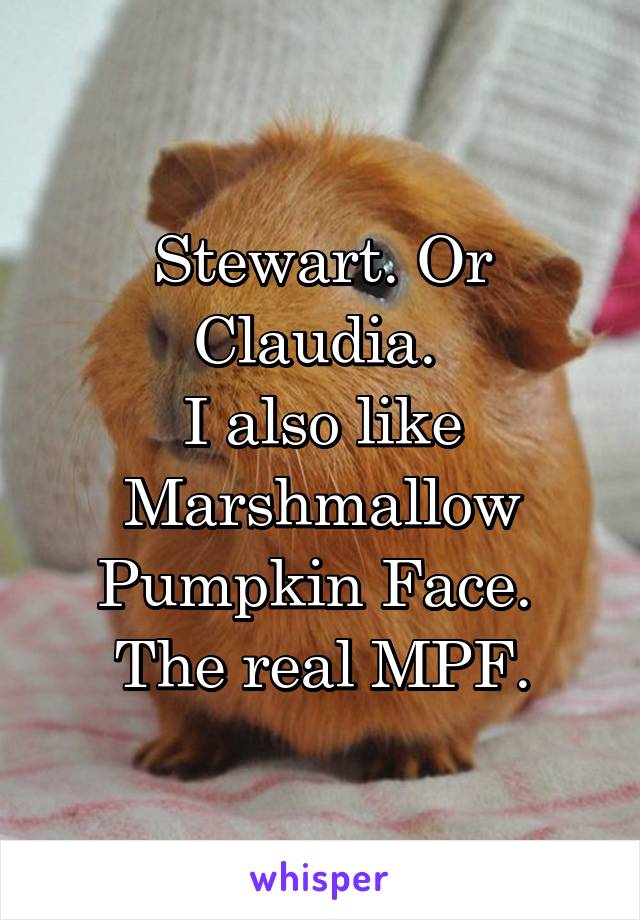 Stewart. Or Claudia. 
I also like Marshmallow Pumpkin Face. 
The real MPF.