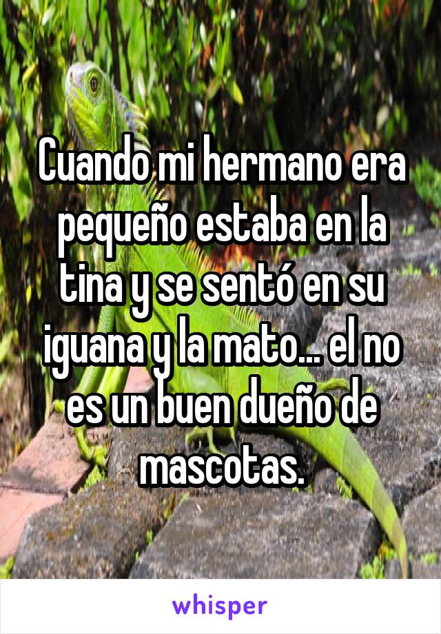 Cuando mi hermano era pequeño estaba en la tina y se sentó en su iguana y la mato... el no es un buen dueño de mascotas.