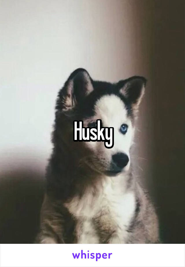 Husky