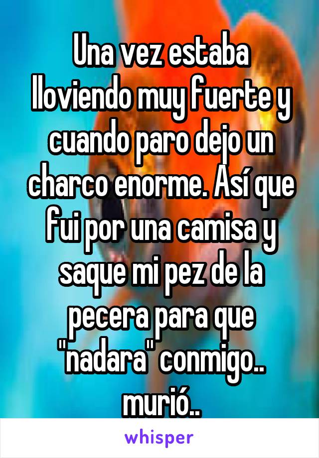 Una vez estaba lloviendo muy fuerte y cuando paro dejo un charco enorme. Así que fui por una camisa y saque mi pez de la pecera para que "nadara" conmigo.. murió..