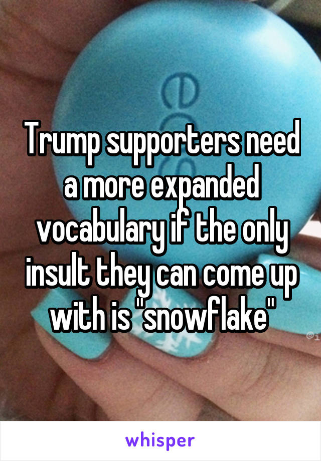 Trump supporters need a more expanded vocabulary if the only insult they can come up with is "snowflake"