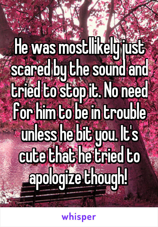 He was mostllikely just scared by the sound and tried to stop it. No need for him to be in trouble unless he bit you. It's cute that he tried to apologize though! 