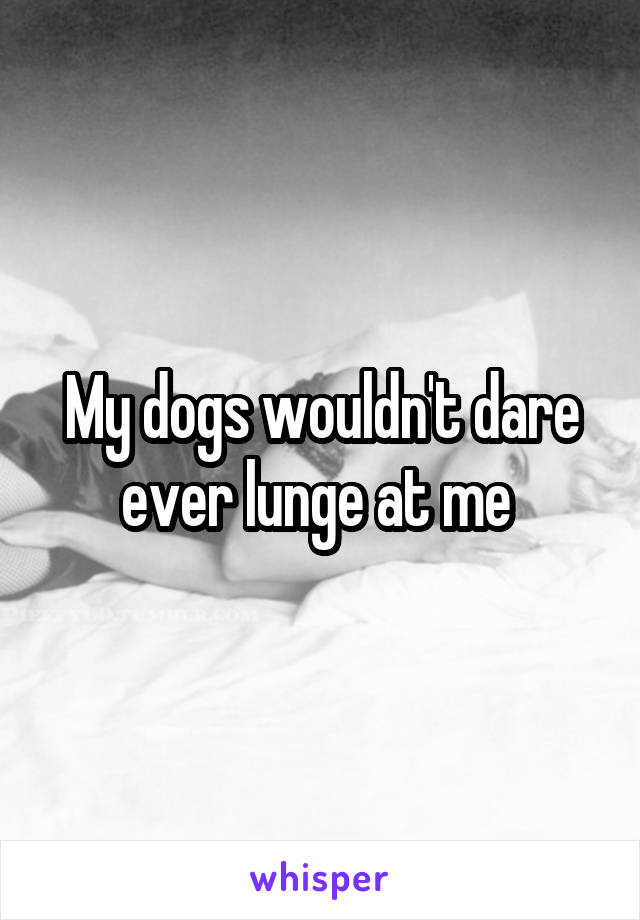 My dogs wouldn't dare ever lunge at me 