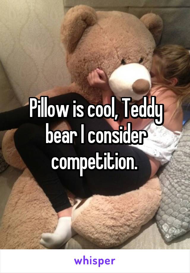 Pillow is cool, Teddy bear I consider competition. 