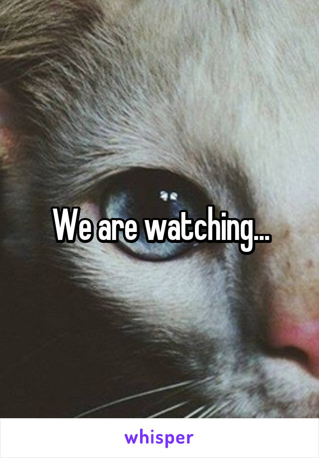 We are watching...