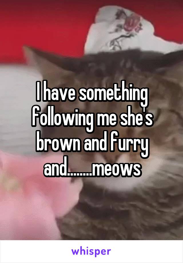 I have something following me she's brown and furry and........meows